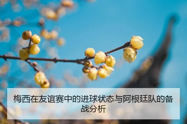 mei-xi-zai-you-yi-sai-zhong-de-jin-qiu-zhuang-tai-yu-a-gen-ting-dui-de-bei-zhan-fen-xi-2-944.jpg