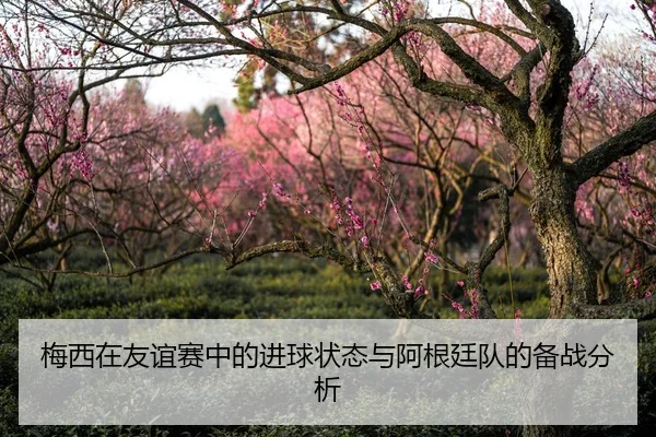 梅西在友谊赛中的进球状态与阿根廷队的备战分析